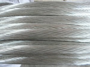 公海彩船6600(中国游)官方网站