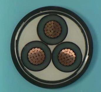 公海彩船6600(中国游)官方网站