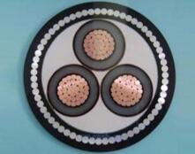 公海彩船6600(中国游)官方网站