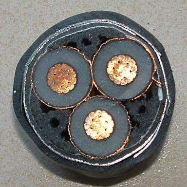 公海彩船6600(中国游)官方网站