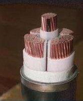 公海彩船6600(中国游)官方网站