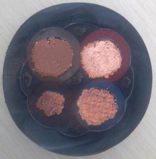 公海彩船6600(中国游)官方网站