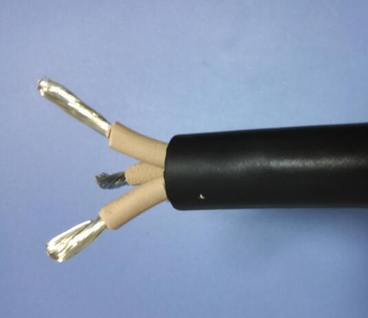 公海彩船6600(中国游)官方网站