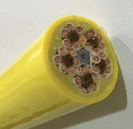 公海彩船6600(中国游)官方网站