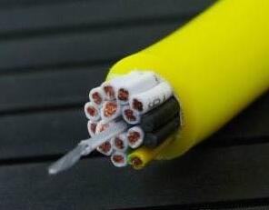 公海彩船6600(中国游)官方网站