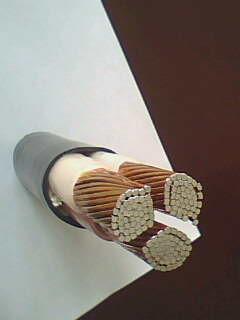 公海彩船6600(中国游)官方网站