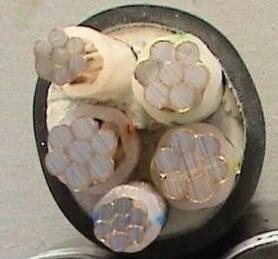 公海彩船6600(中国游)官方网站