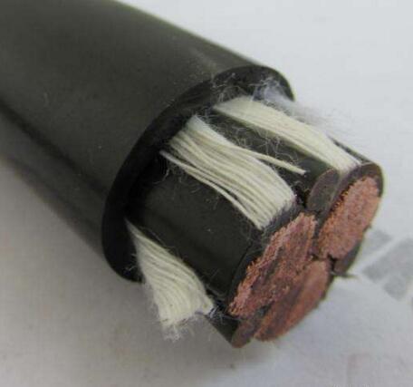 公海彩船6600(中国游)官方网站