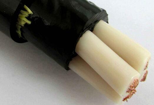 公海彩船6600(中国游)官方网站