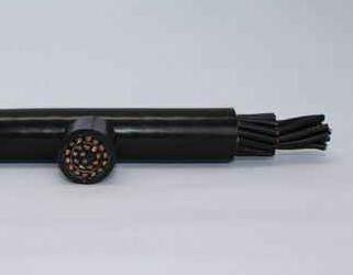 公海彩船6600(中国游)官方网站