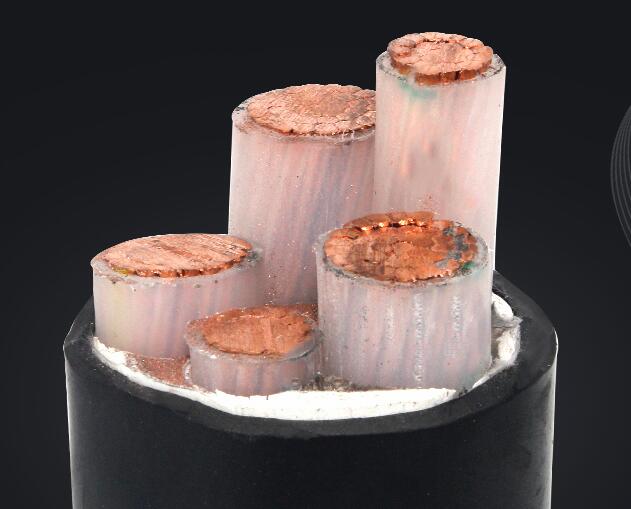 公海彩船6600(中国游)官方网站