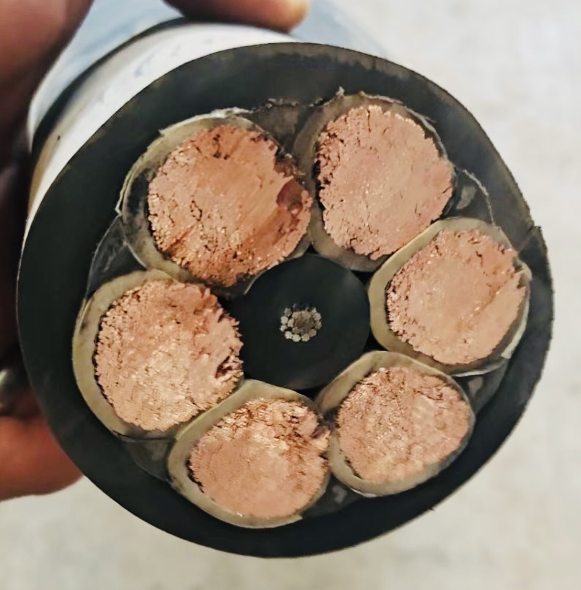 公海彩船6600(中国游)官方网站