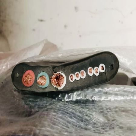 公海彩船6600(中国游)官方网站