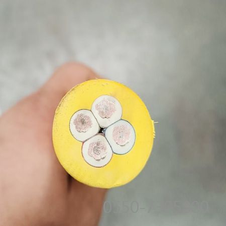 公海彩船6600(中国游)官方网站