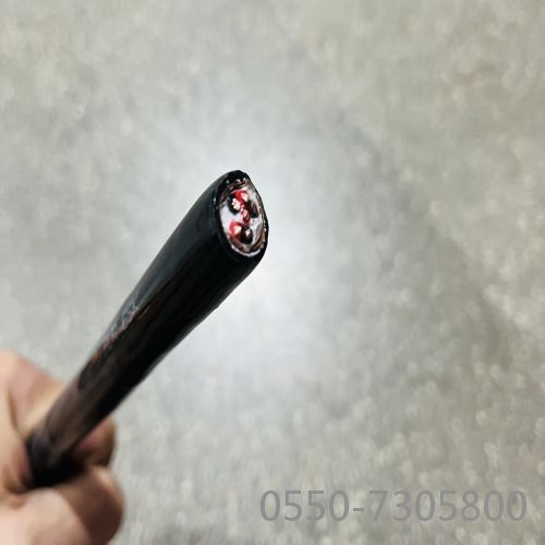 公海彩船6600(中国游)官方网站