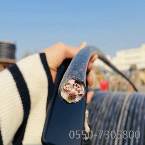 公海彩船6600(中国游)官方网站