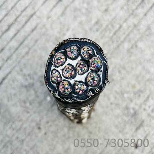 公海彩船6600(中国游)官方网站