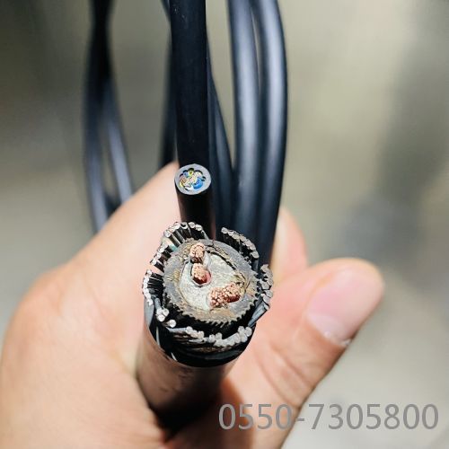 公海彩船6600(中国游)官方网站