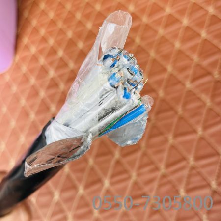 公海彩船6600(中国游)官方网站