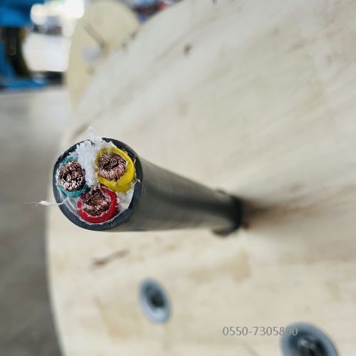 公海彩船6600(中国游)官方网站