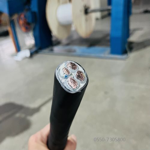 公海彩船6600(中国游)官方网站