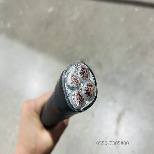 公海彩船6600(中国游)官方网站