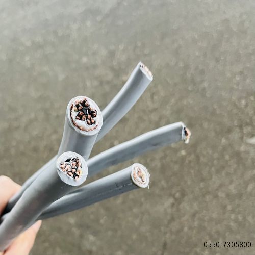 公海彩船6600(中国游)官方网站