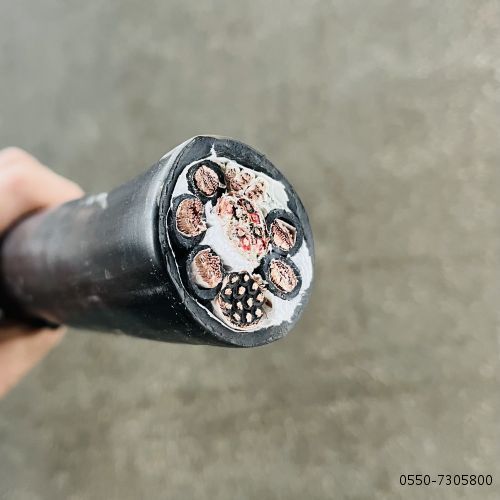 公海彩船6600(中国游)官方网站