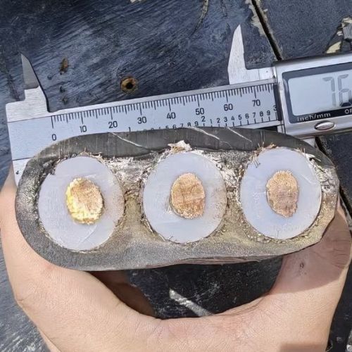 公海彩船6600(中国游)官方网站