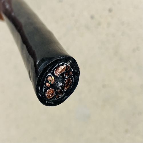 公海彩船6600(中国游)官方网站