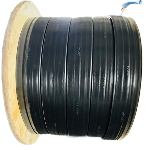 公海彩船6600(中国游)官方网站