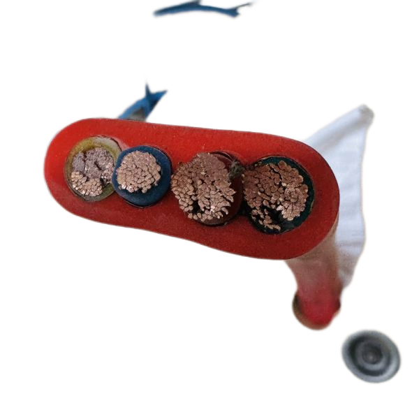 公海彩船6600(中国游)官方网站