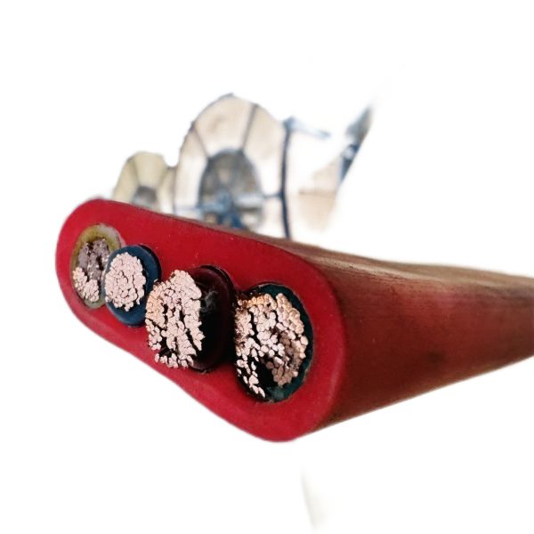 公海彩船6600(中国游)官方网站