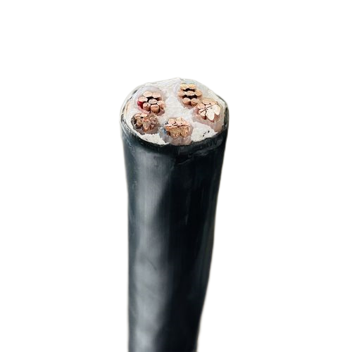 公海彩船6600(中国游)官方网站