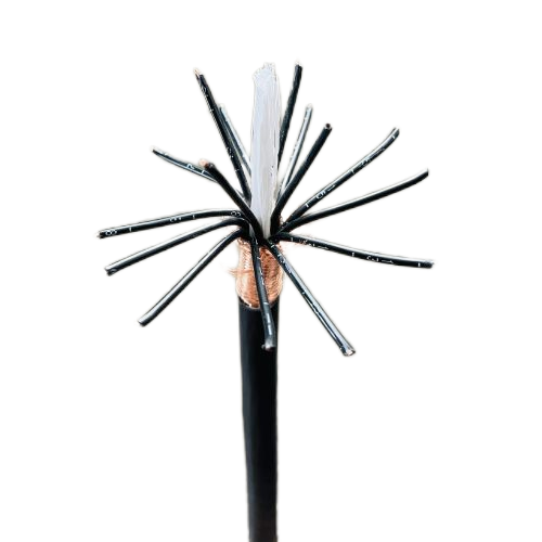 公海彩船6600(中国游)官方网站