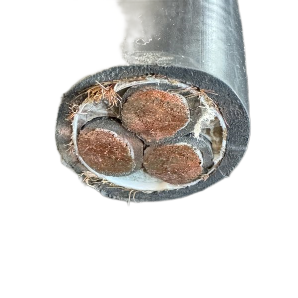 公海彩船6600(中国游)官方网站