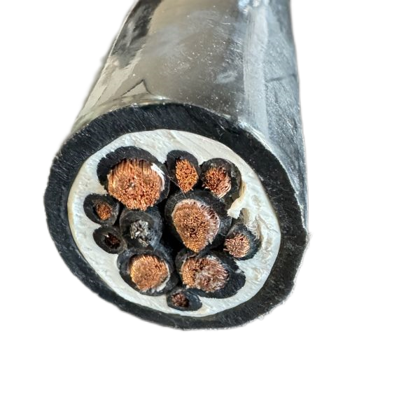 公海彩船6600(中国游)官方网站