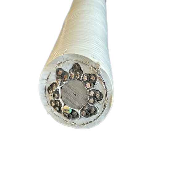 公海彩船6600(中国游)官方网站