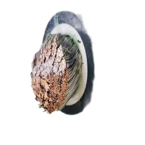 公海彩船6600(中国游)官方网站