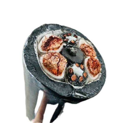 公海彩船6600(中国游)官方网站