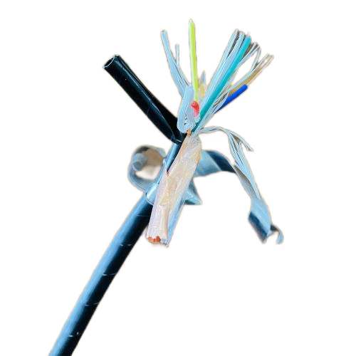 公海彩船6600(中国游)官方网站