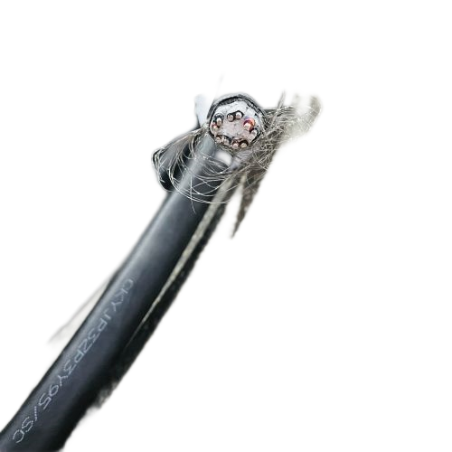 公海彩船6600(中国游)官方网站