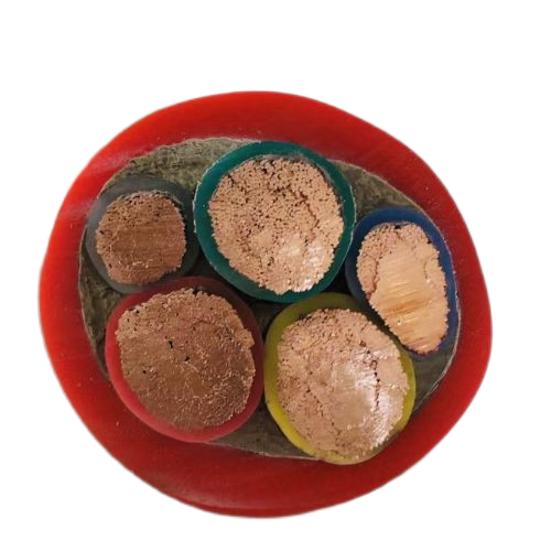 公海彩船6600(中国游)官方网站