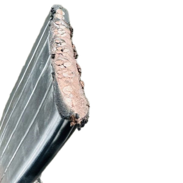 公海彩船6600(中国游)官方网站