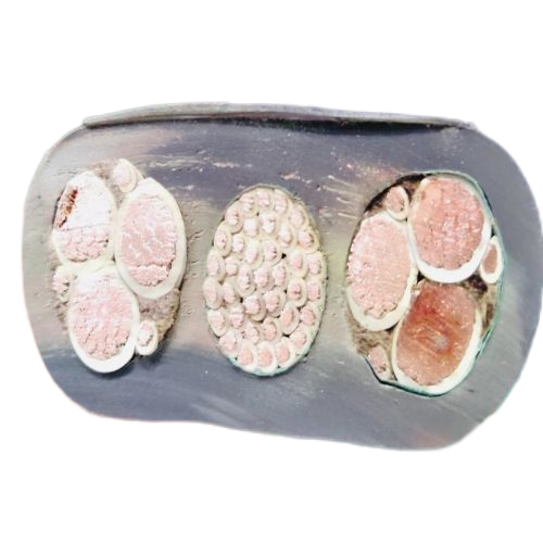 公海彩船6600(中国游)官方网站