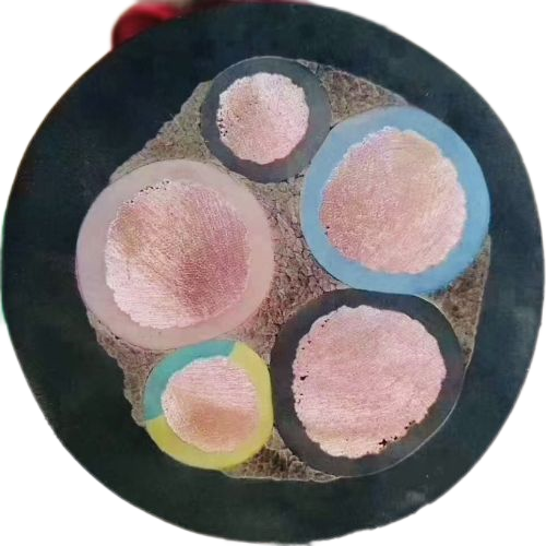 公海彩船6600(中国游)官方网站