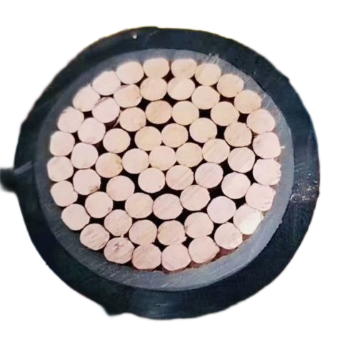 公海彩船6600(中国游)官方网站