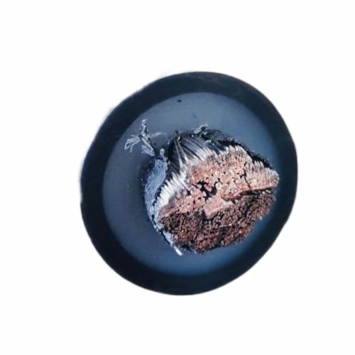 公海彩船6600(中国游)官方网站